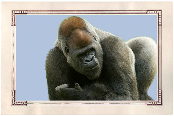 KC Zoo_057