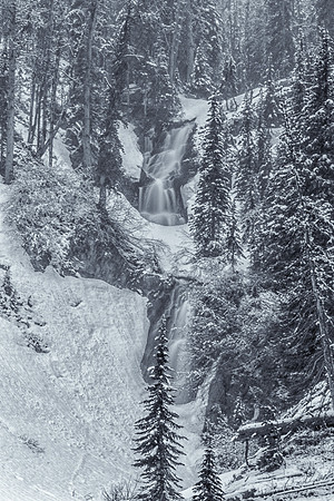 DFP_4987-B&W