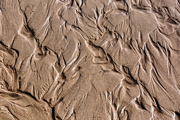 Patterns in the Sand