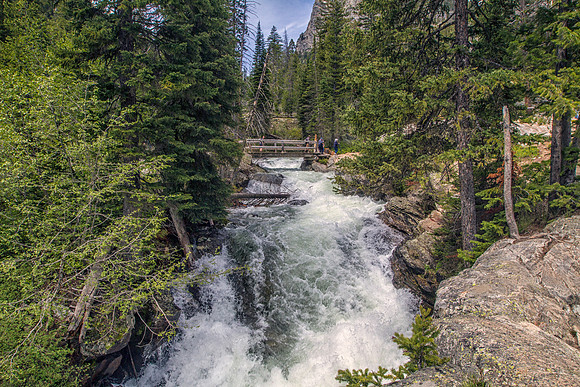 DFP_7208