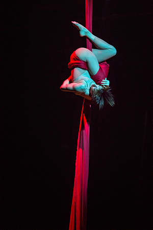 Quidam-252