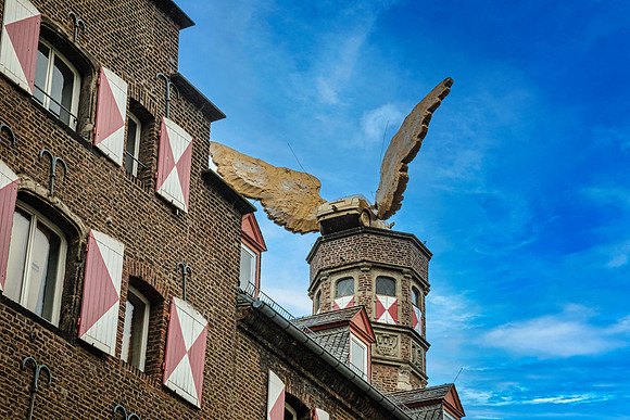 Viking_27Aug_3679
