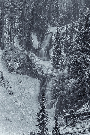 DFP_4987-B&W