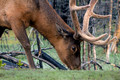 DFP_6902