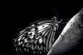 7D_2200