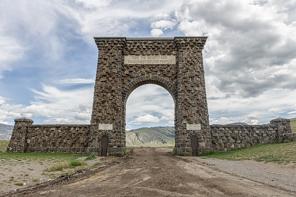 DFP_6558