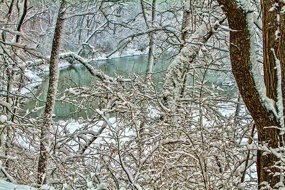 March Snow --19