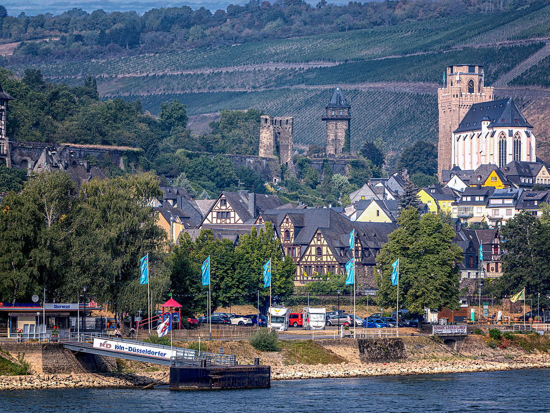 Viking_26Aug_3362
