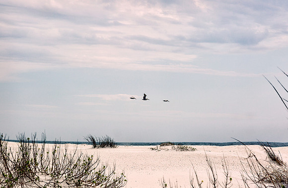 Fort Pickens_061