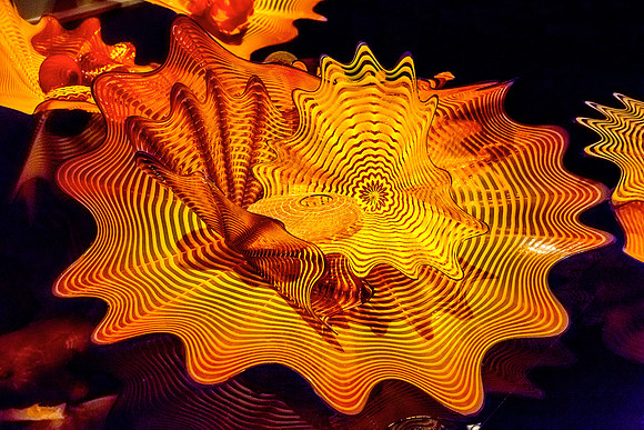 _W6A5794