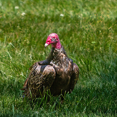 _D160039