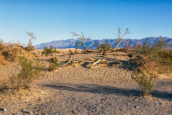Death Valley_043