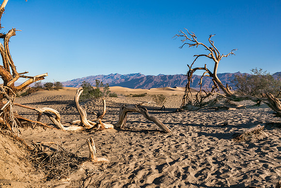Death Valley_044