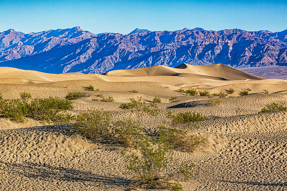 Death Valley_046