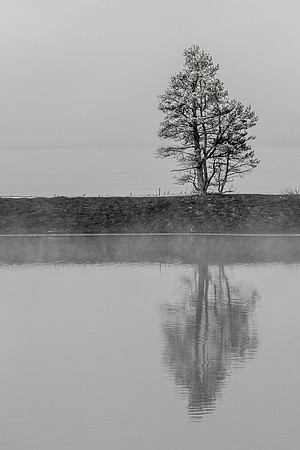 DFP_6896