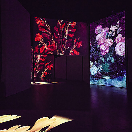 Van Gogh Alive_012