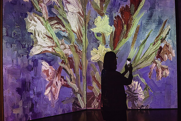 Van Gogh Alive_013