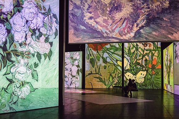 Van Gogh Alive_014