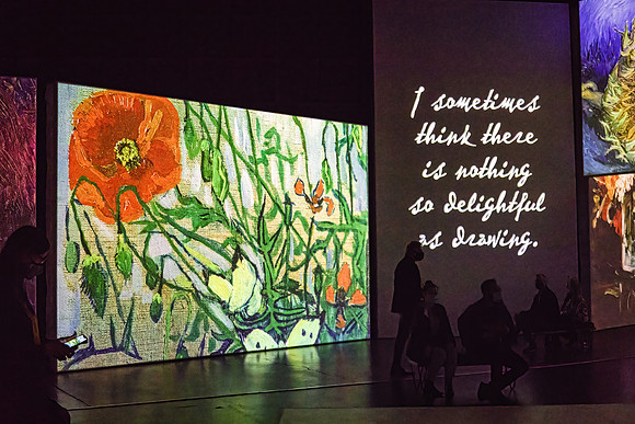 Van Gogh Alive_015