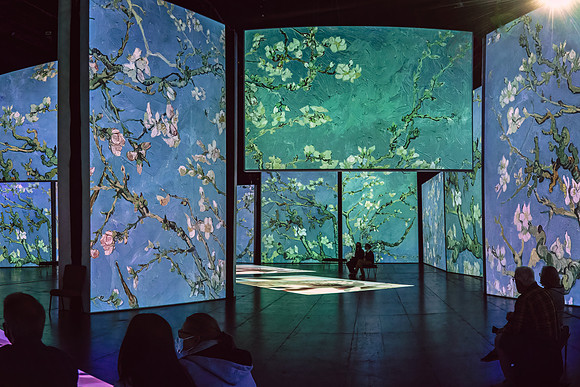 Van Gogh Alive_016