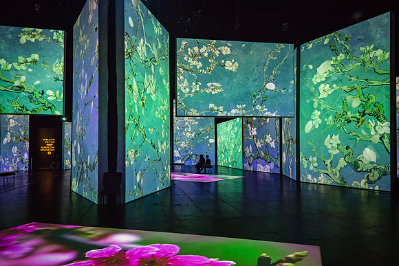 Van Gogh Alive_017