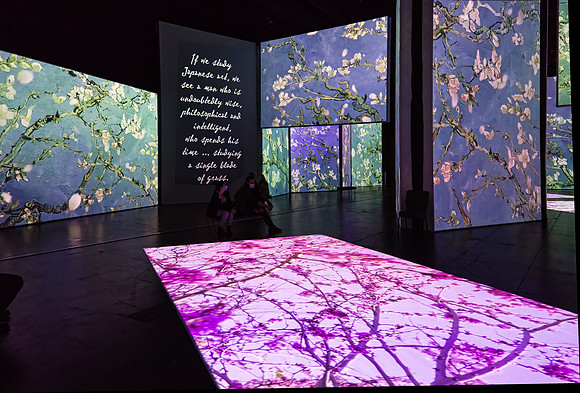 Van Gogh Alive_019