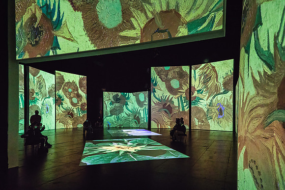 Van Gogh Alive_028