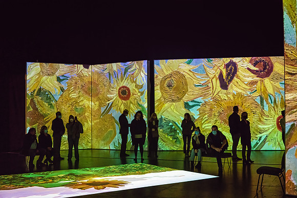 Van Gogh Alive_029