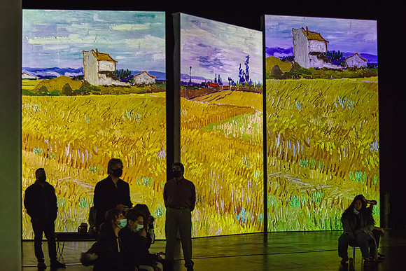 Van Gogh Alive_033