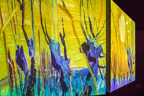 Van Gogh Alive_034