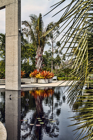 Naples Botanical Gardens - 030