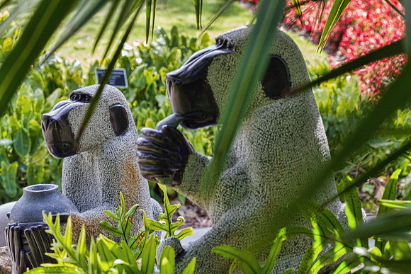 Naples Botanical Gardens - 149
