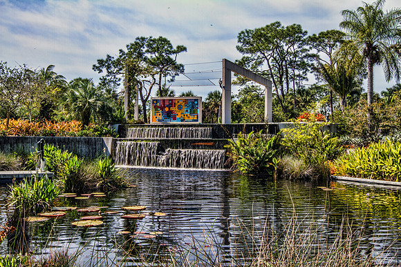Water Garden with Waterfall