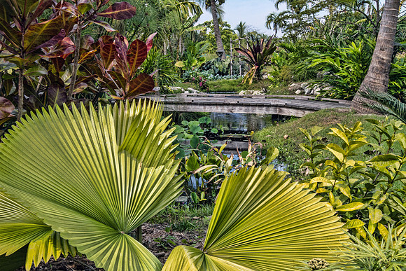 Naples Botanical Gardens - 059