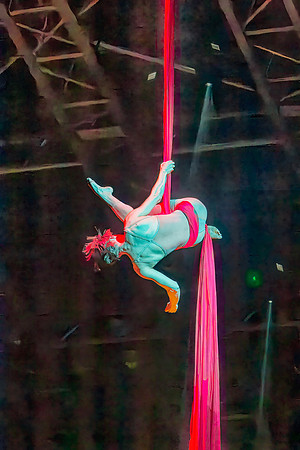Quidam-246-Enhanced-NR