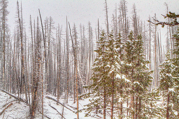 DFP_4999_5000_5001