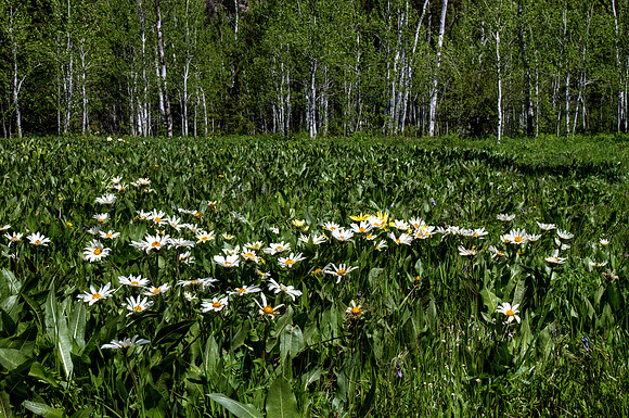 DFP_7319_20_21-2