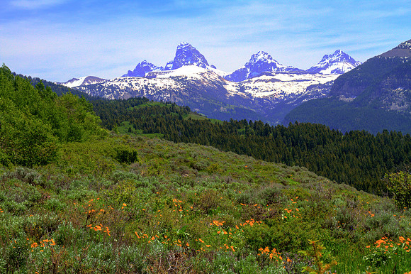 DFP_7353_4_5