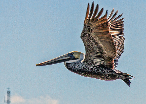 Key West-142
