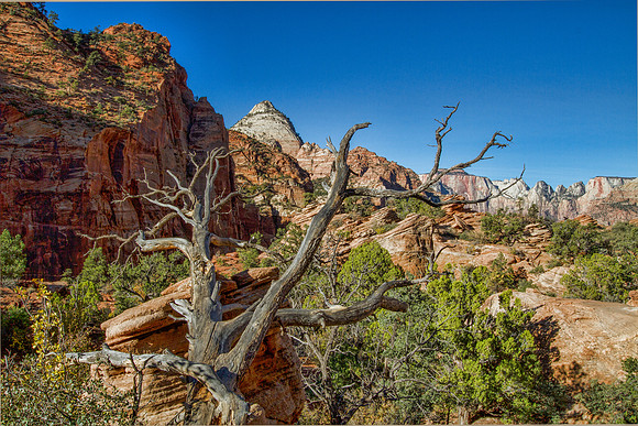 Day_2--153