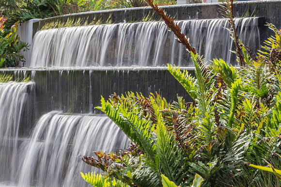 Naples Botanical Gardens - 128