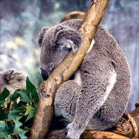 Blog - Field-trip to the Zoo [May 2016]
