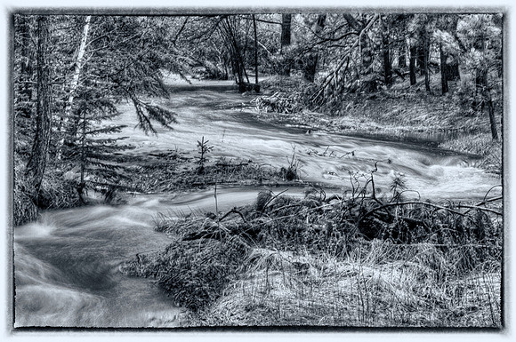 DFP_4085_6_7-B&W