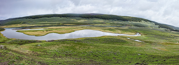 DSC02778-2