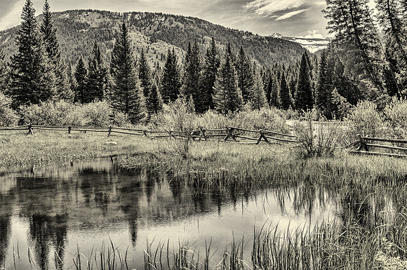 DFP_7313_4_5-B&W Toned