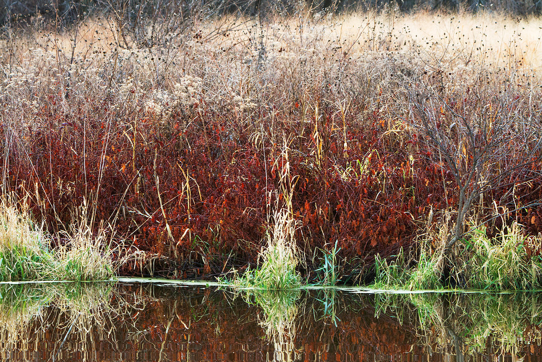Squaw Creek Reflections