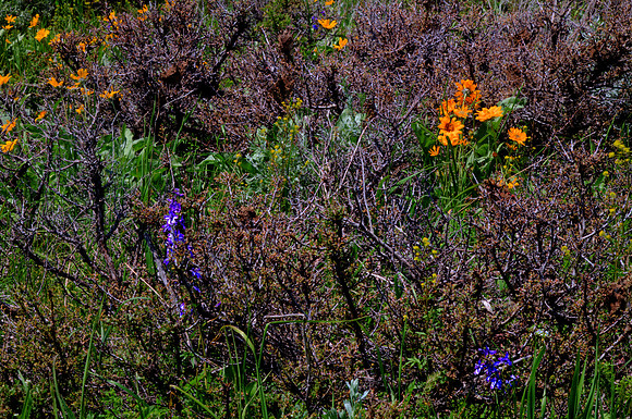 DFP_7356_7_8