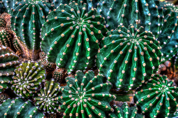 DFP_2851_tonemapped