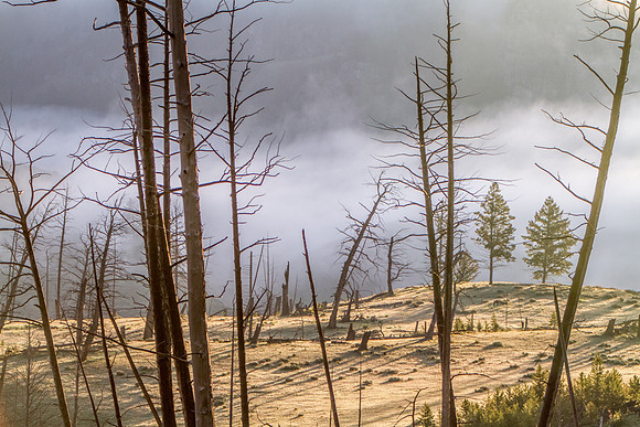 DFP_6280-HDR