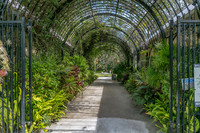 Blog - McKee Botanical Gardens